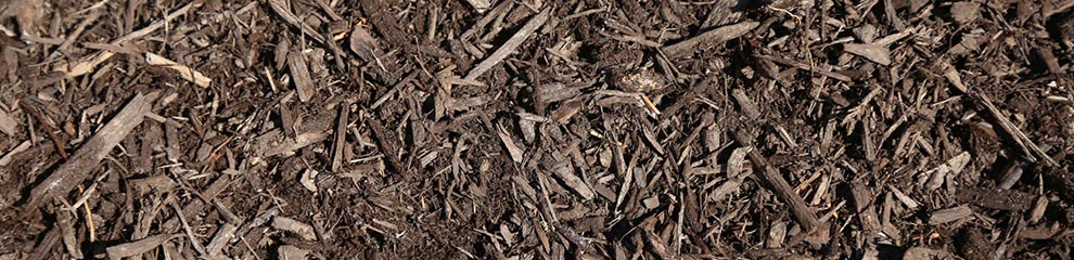 The Benefits Of Using Mulch For Landscaping